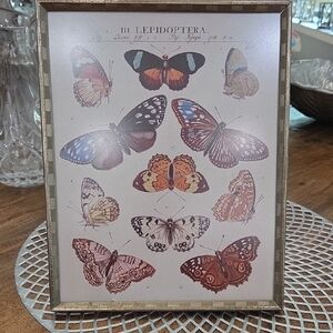 Framed Butterfly Wall Art – Neutral & Rust Accents